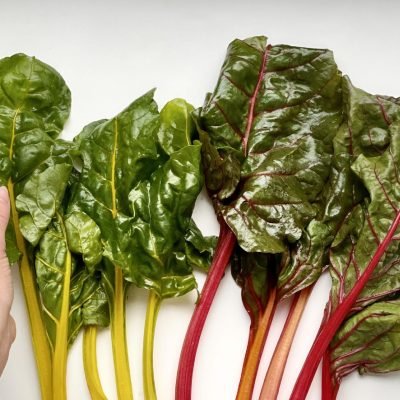 eat-the-rainbow-scaled_th